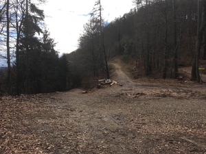 Highlight 1 along the Bikemap route "Peter Rosegger Graz"