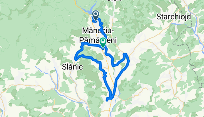 28.02.16 cu Iorgulescu