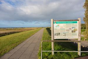 Hebe Bild 4 entlang der Bikemap-Route "Maritim-Route der Probstei" hervor