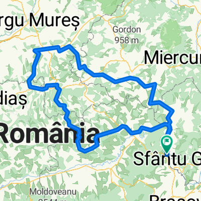 posibila ruta 1