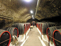 Hebe Bild 16 entlang der Bikemap-Route "Prague-Dresden" hervor