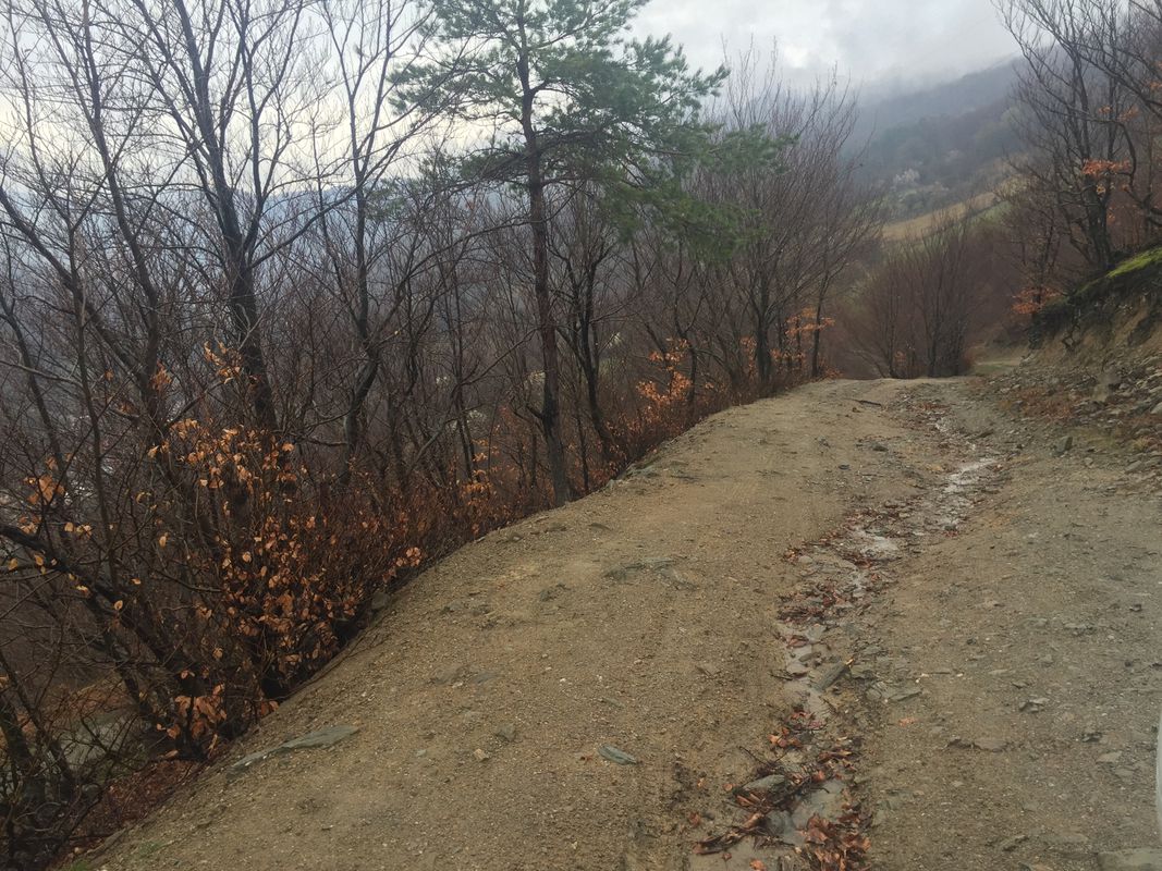 Quick ride from (null) to (null)