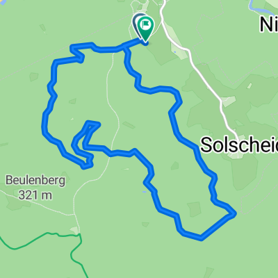 hoenningen