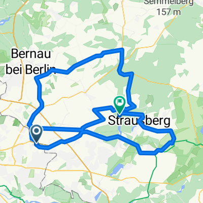 perm Barnim Runde