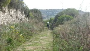 Hebe Bild 5 entlang der Bikemap-Route "Ferrovia dismessa Montallegro-Siculiana Marina" hervor