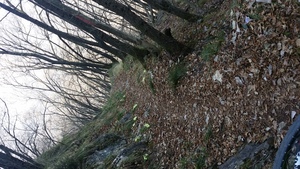 Destacado 4 en la ruta de Bikemap "Long bike tour through Bardolino"