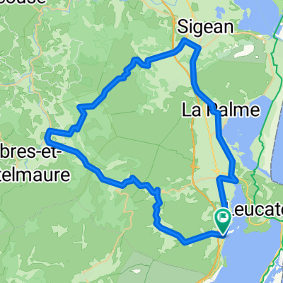 PicPoul53800