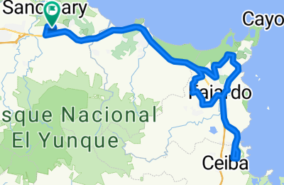 Route in der Bikemap App öffnen