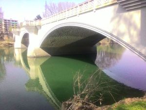 Highlight 1 along the Bikemap route "Giro di Torino in bici" Highlight 1 along the Bikemap route "Giro di Torino in bici"