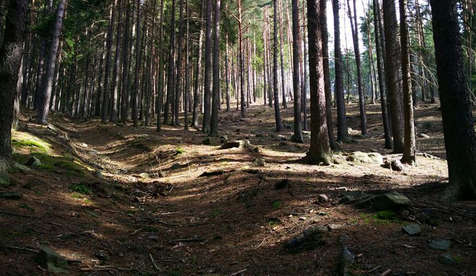 Photo 1 of the Bikemap route "Plešivec a okolí"
