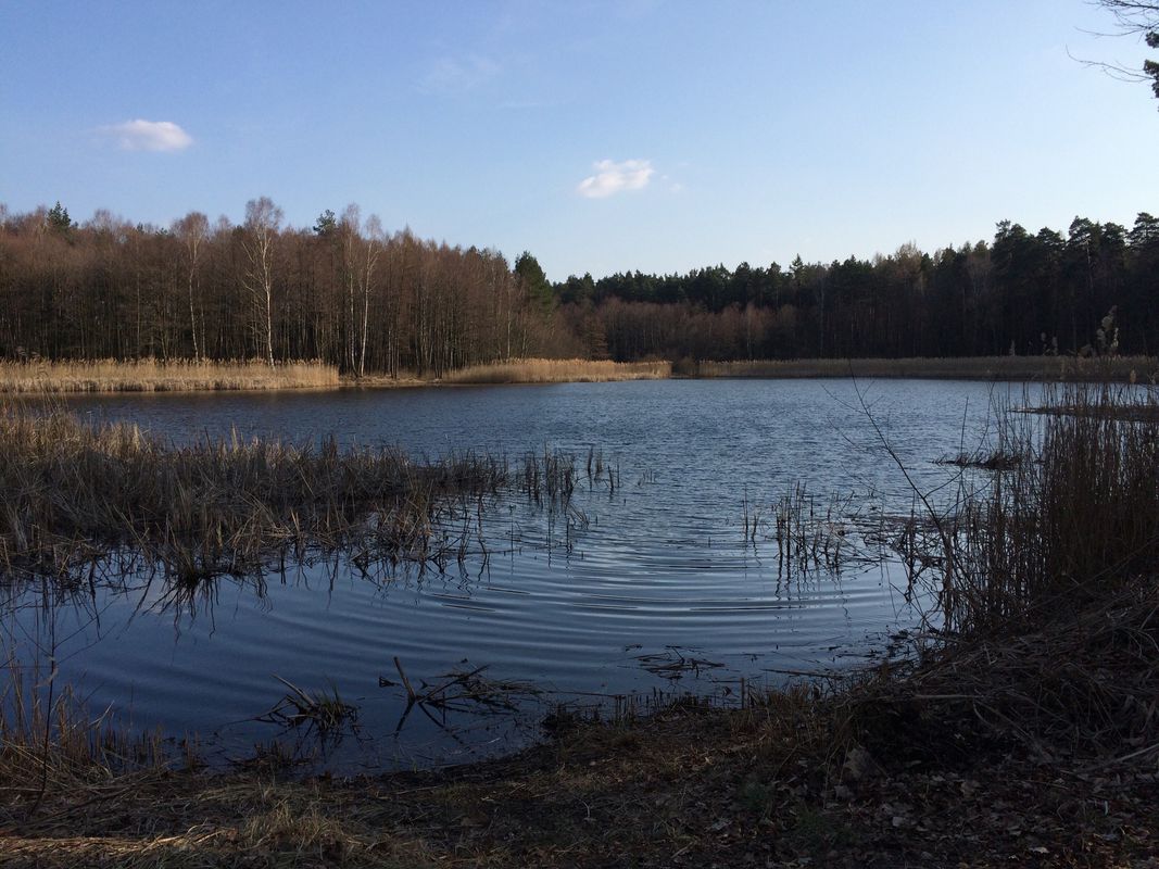 Rozgrzewająca