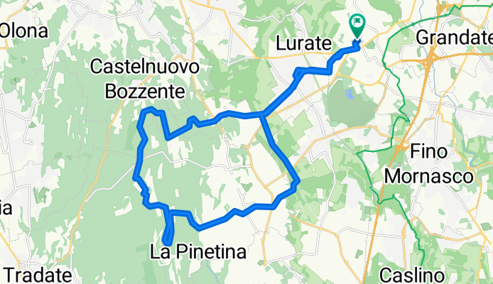 Pinetina veloce