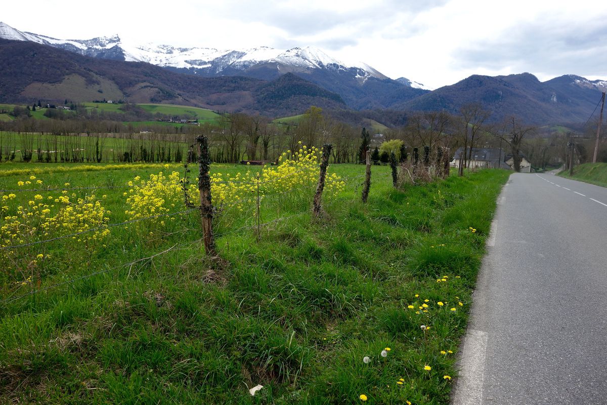 2016 Ride Day 46 - Oloron-Ste-Marie to Argelès-Gazost (Arcizans-Avant)