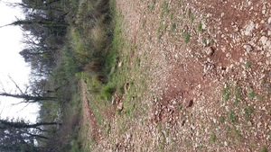 Atrakcja 6 na trasie Bikemap „Biche/Evy 2”