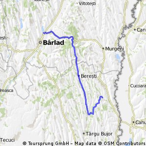 Barlad-Suceveni