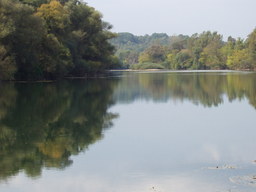 Hebe Bild 3 entlang der Bikemap-Route "Mokrice" hervor