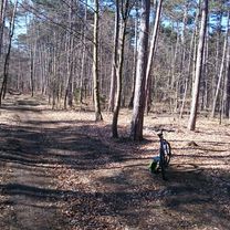 Ausfahrt durch Gemeinde Enzesfeld-Lindabrunn