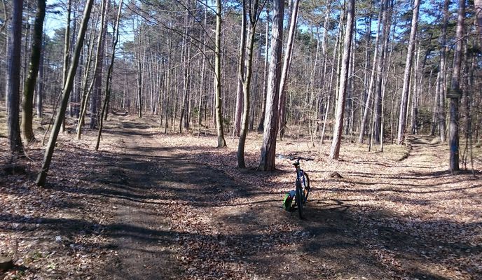 Photo 1 of the Bikemap route "Ausfahrt durch Gemeinde Enzesfeld-Lindabrunn" Photo 1 of the Bikemap route "Ausfahrt durch Gemeinde Enzesfeld-Lindabrunn"