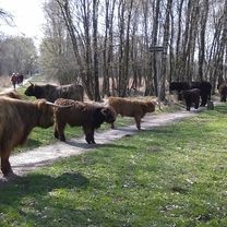 20160410 Rondje Buurse-Boekelo- Haaksbergen