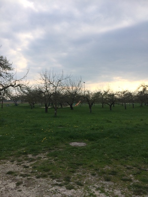 Hebe Bild 1 entlang der Bikemap-Route "Radrunde von Bach an der Donau nach Wiesent" hervor