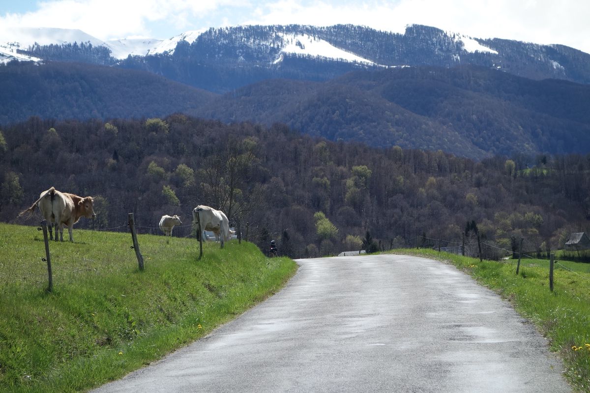 2016 Ride Day 53 - Bagnères-de-Bigorre Circle to East