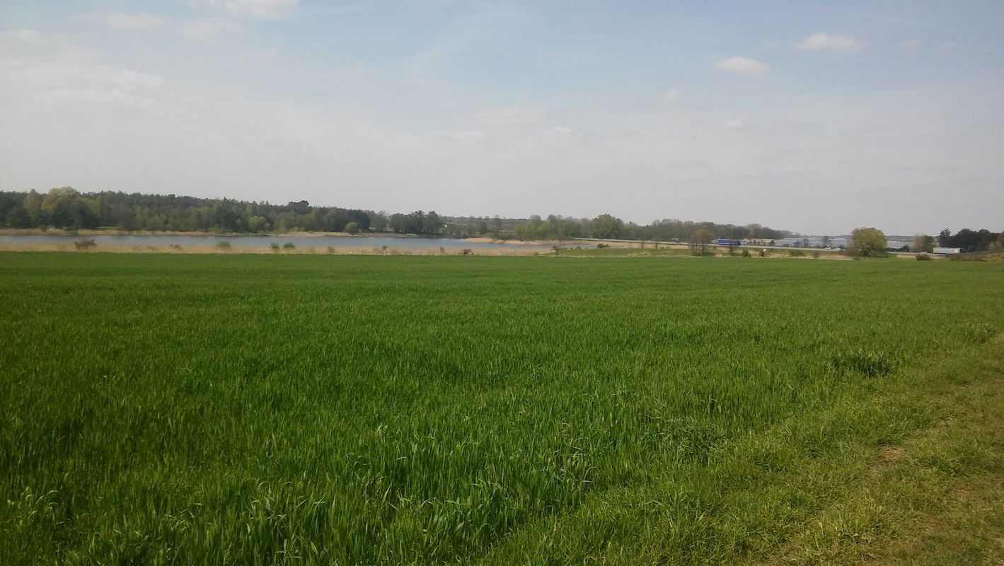 Route_1 (Plewiska-Żarnowiec-Lusówko-Plewiska)