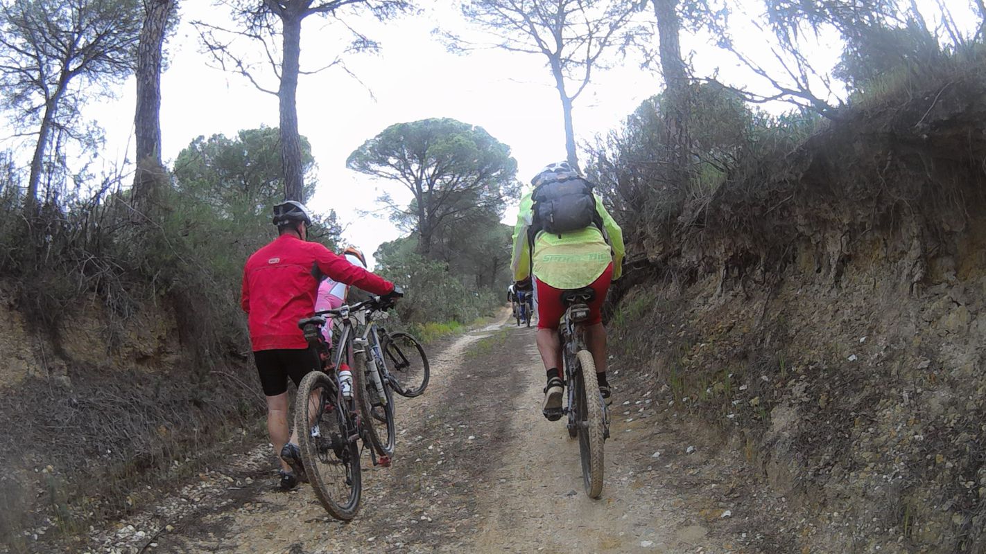BTT: 37°19'51.78"N  -  7° 1'15.83"O
