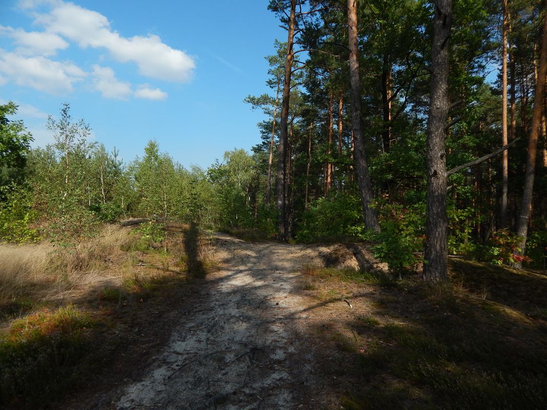 Nowy Dwór Mazowiecki - Góra Kalwaria