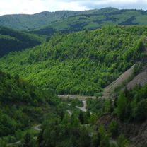 Photo 8 of the Bikemap route "Izvoare-Drm. Carbunarilor-Vl.Crivini-Vl. Mara-Runcu -Plesca-Izvoare."