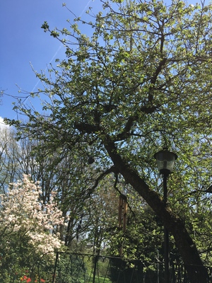 Highlight 1 along the Bikemap route "Lange Ausfahrt durch Vilsbiburg" Highlight 1 along the Bikemap route "Lange Ausfahrt durch Vilsbiburg"