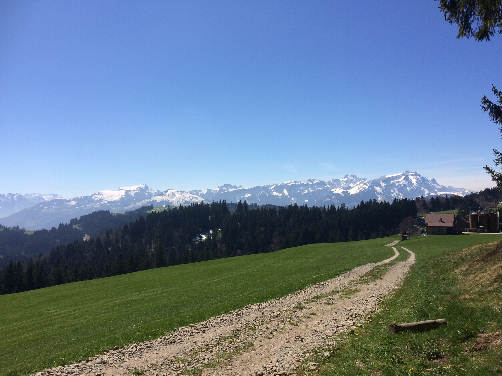 Lange Ausfahrt von Heiden nach Steinach