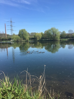 Hebe Bild 3 entlang der Bikemap-Route "Ausfahrt von Essen nach Hattingen" hervor