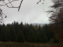 Hebe Bild 1 entlang der Bikemap-Route "08.11.09 - WI > Platte > Hohe Kanzel > Platte > WI" hervor Hebe Bild 1 entlang der Bikemap-Route "08.11.09 - WI > Platte > Hohe Kanzel > Platte > WI" hervor