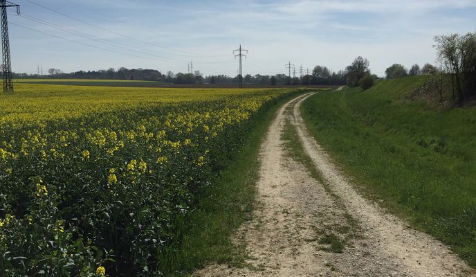 Photo 2 of the Bikemap route "Lange Radrunde durch Erding"