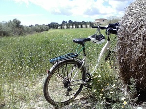 Hebe Bild 2 entlang der Bikemap-Route "Mallorca: Felanitx-Son Macià-Manacor-Porreres-Cas Concos-Felanitx" hervor