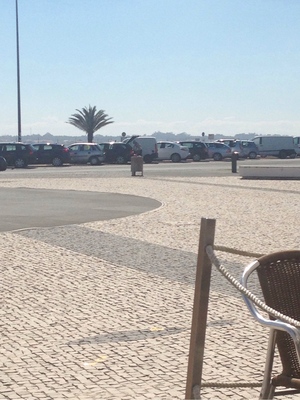 Hebe Bild 1 entlang der Bikemap-Route "bike tour from Ilhavo to Costa Nova do Prado" hervor