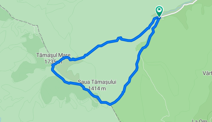 Plaiu Foii - Tamasul Mare - Plaiu Foii