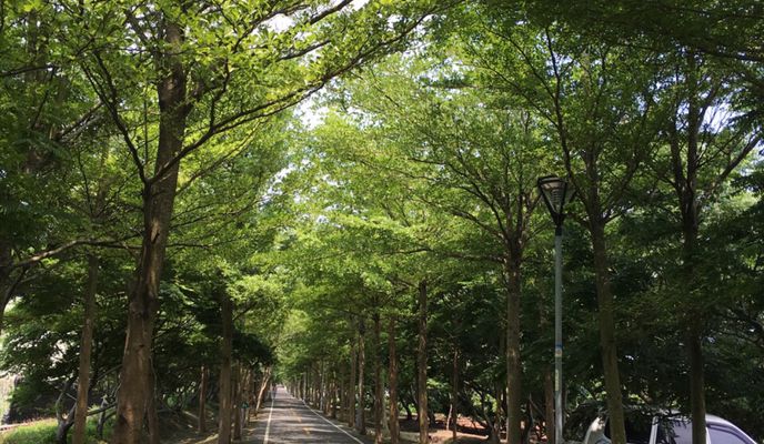 Photo 1 of the Bikemap route "Lengthy ride through 台中市"