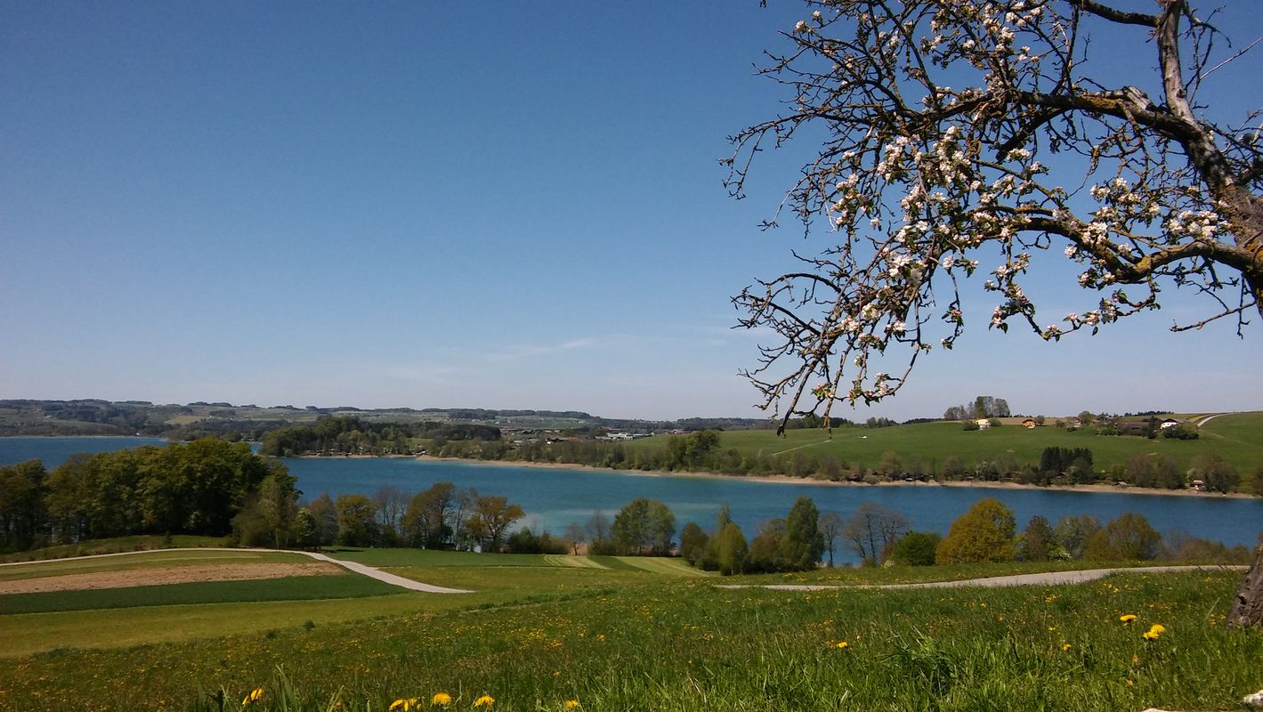 3 Seen Tour - Obertrum-Grabensee-Mattsee