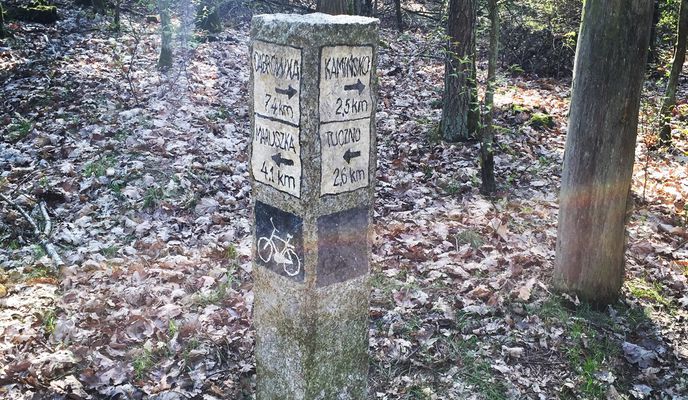 Photo 2 of the Bikemap route "Puszcza Zielonka"