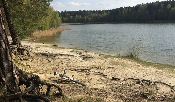 Photo 1 of the Bikemap route "Puszcza Zielonka"