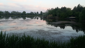 Highlight 2 along the Bikemap route "turul parcurilor din Buzau"