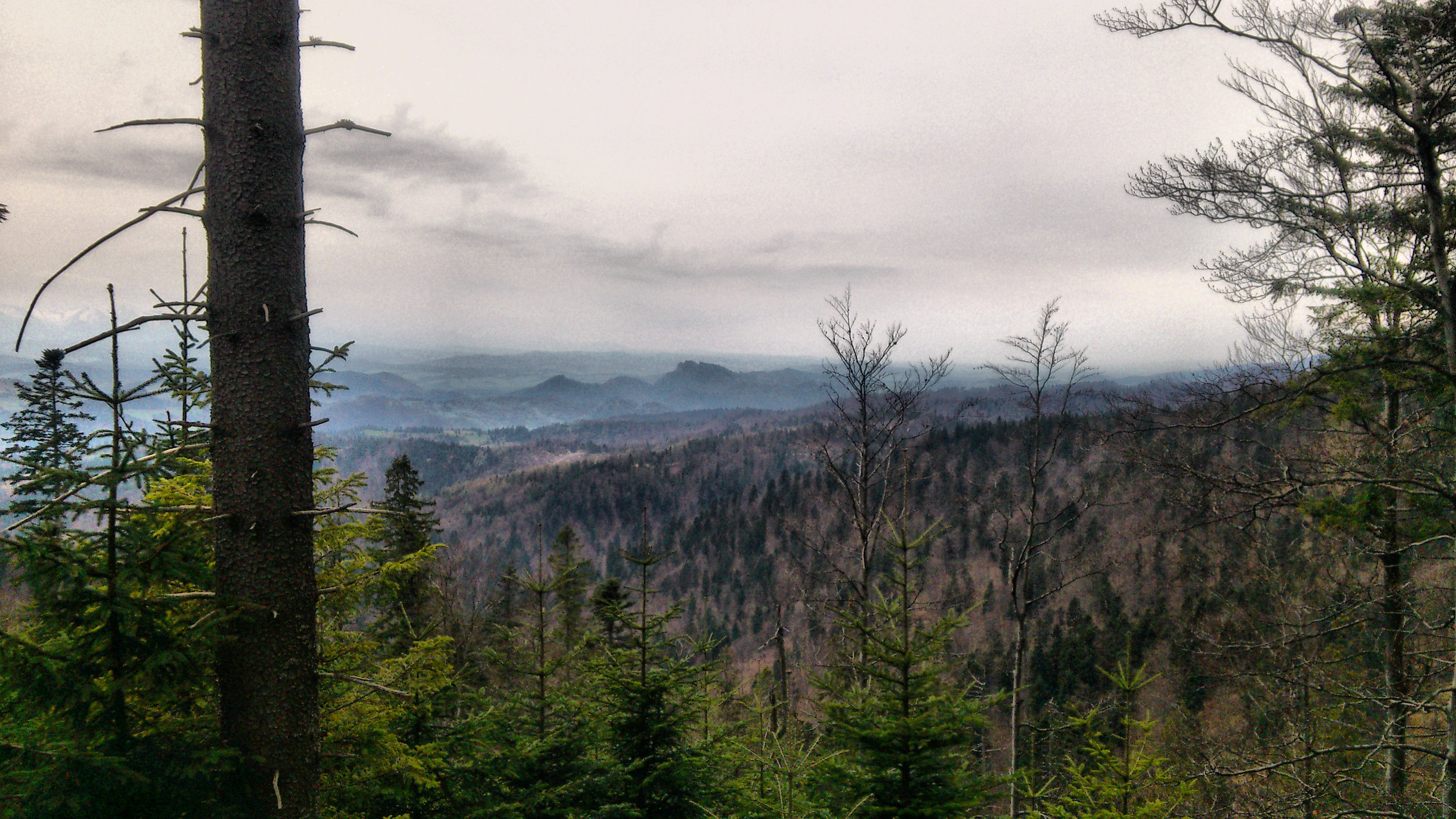 PASMO RADZIEJOWEJ - BESKID SĄDECKI 2016.04.23