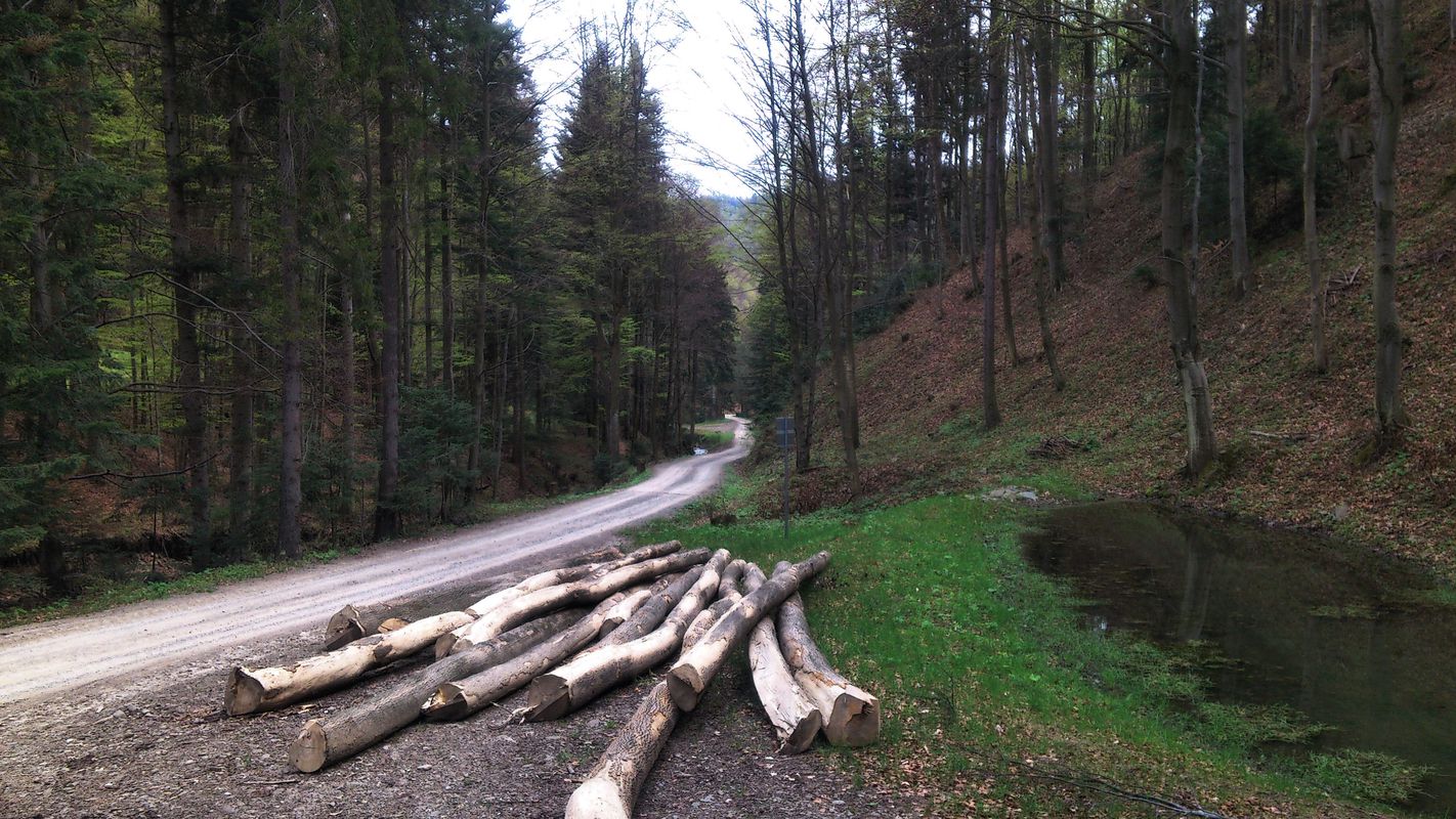 PASMO RADZIEJOWEJ - BESKID SĄDECKI 2016.04.23
