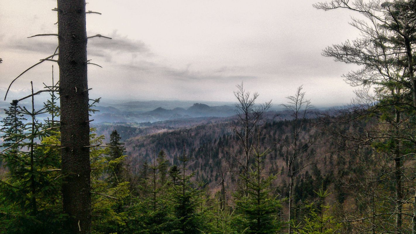 PASMO RADZIEJOWEJ - BESKID SĄDECKI 2016.04.23
