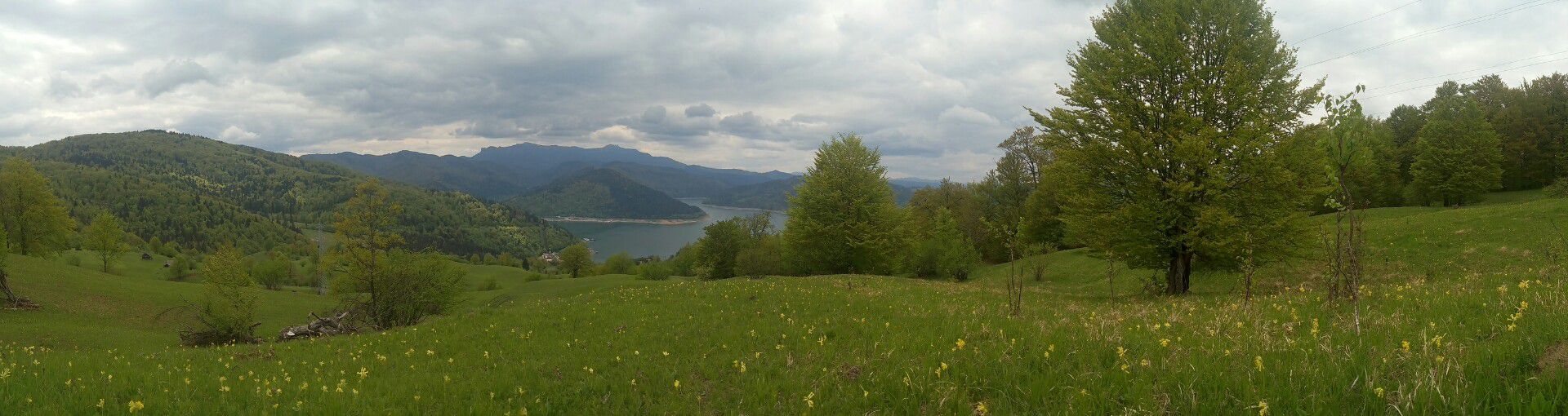 Long bike tour from Alexandru cel Bun to Piatra NeamÈ›