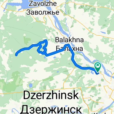 Поездка в Конево