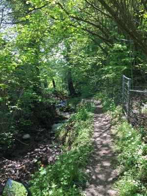Hebe Bild 2 entlang der Bikemap-Route "Radrunde von Nürensdorf nach Chrüzstrass" hervor