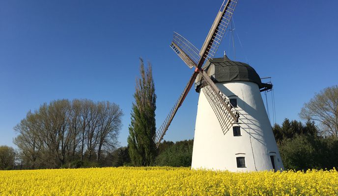 Photo 2 of the Bikemap route "Lange Radrunde durch Wolfenbüttel"