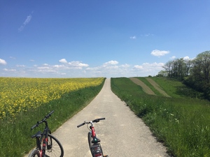 Highlight 4 along the Bikemap route "Von Groß-Schweinbarth nach Dürnkrut"